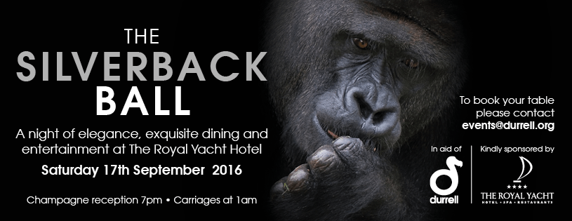 Silverback ball